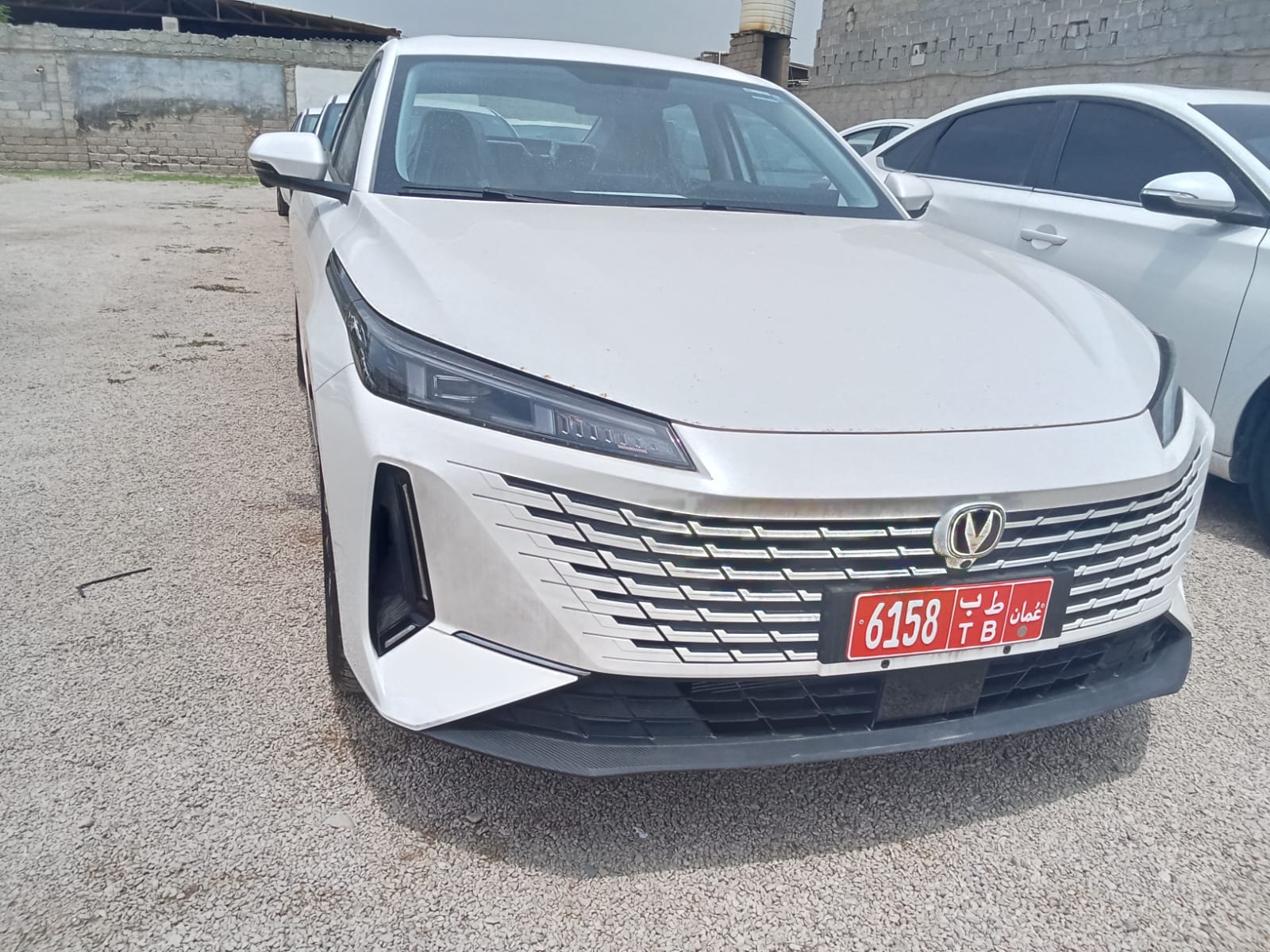 شنجان ايدو بلس